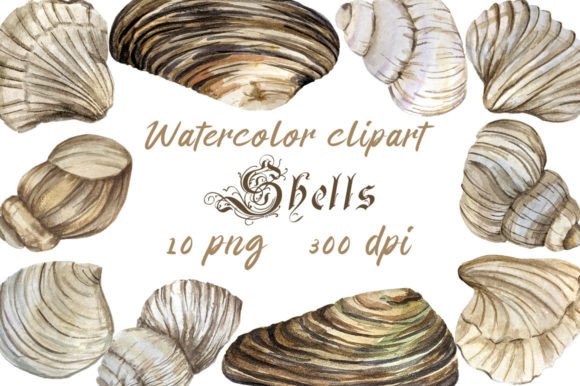 Elevating Digital Design with High-Resolution Watercolor Clipart Seashell, Conch, Png Assets